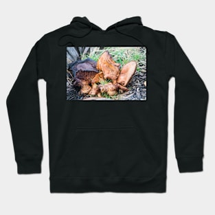 71416 shrooms Hoodie